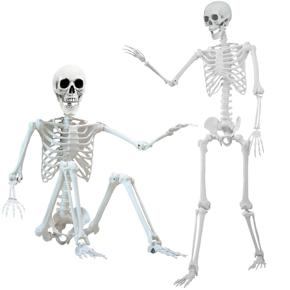 5.4 ft Halloween Skeleton Poseable Skeleton Life Size Skeleton Full Body Plastic Human Bones Standing Human Skeleton with Posable Joints for Halloween Decoration（1PCS