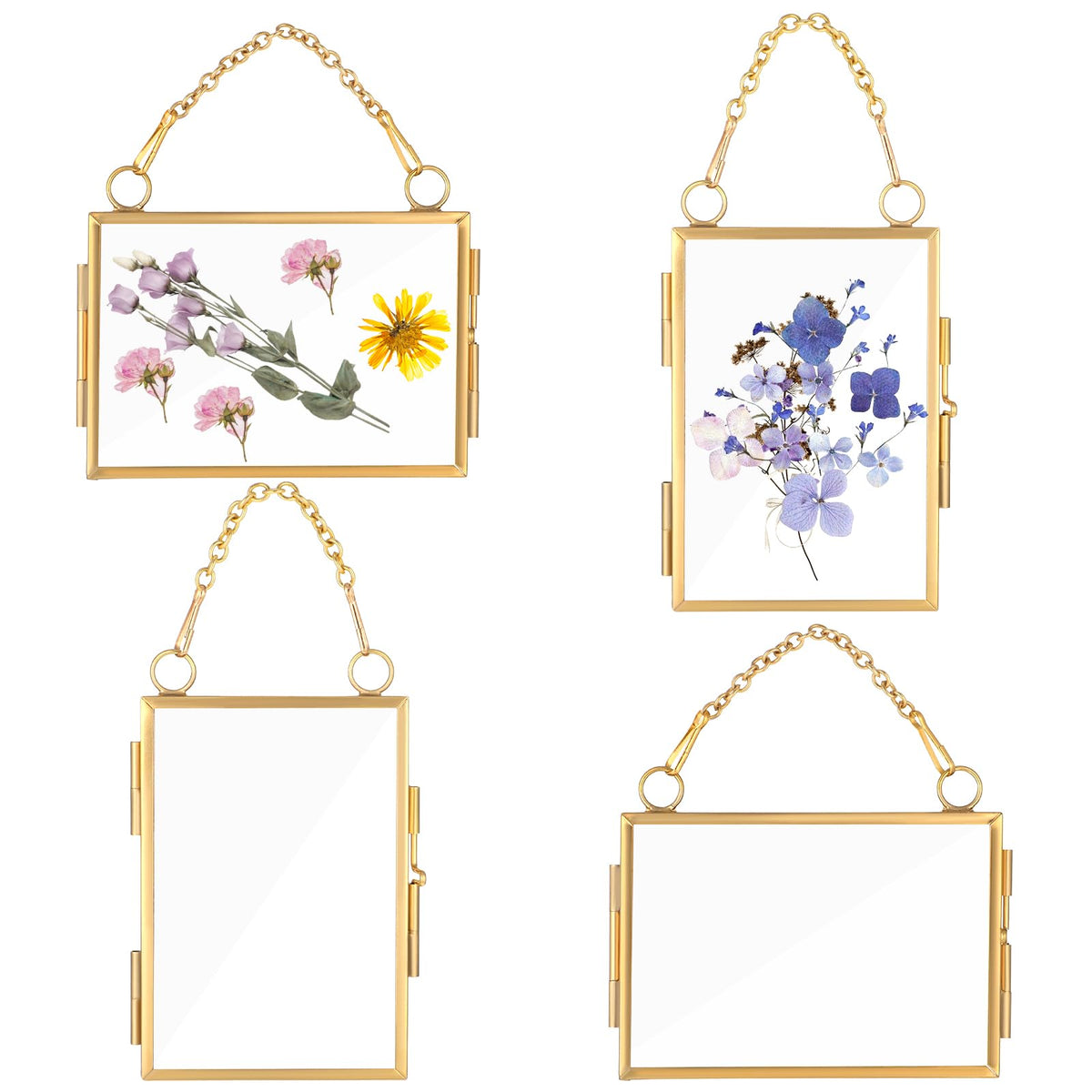 4Pcs Double Glass Frame for Pressed Flowers, 2x3 inch Brass Clear Pressed Flower Decor with Chain, Gold Floating Hanging Photo Frame, Horizontal Vertical Frames for Specimen Artwork Display Decor