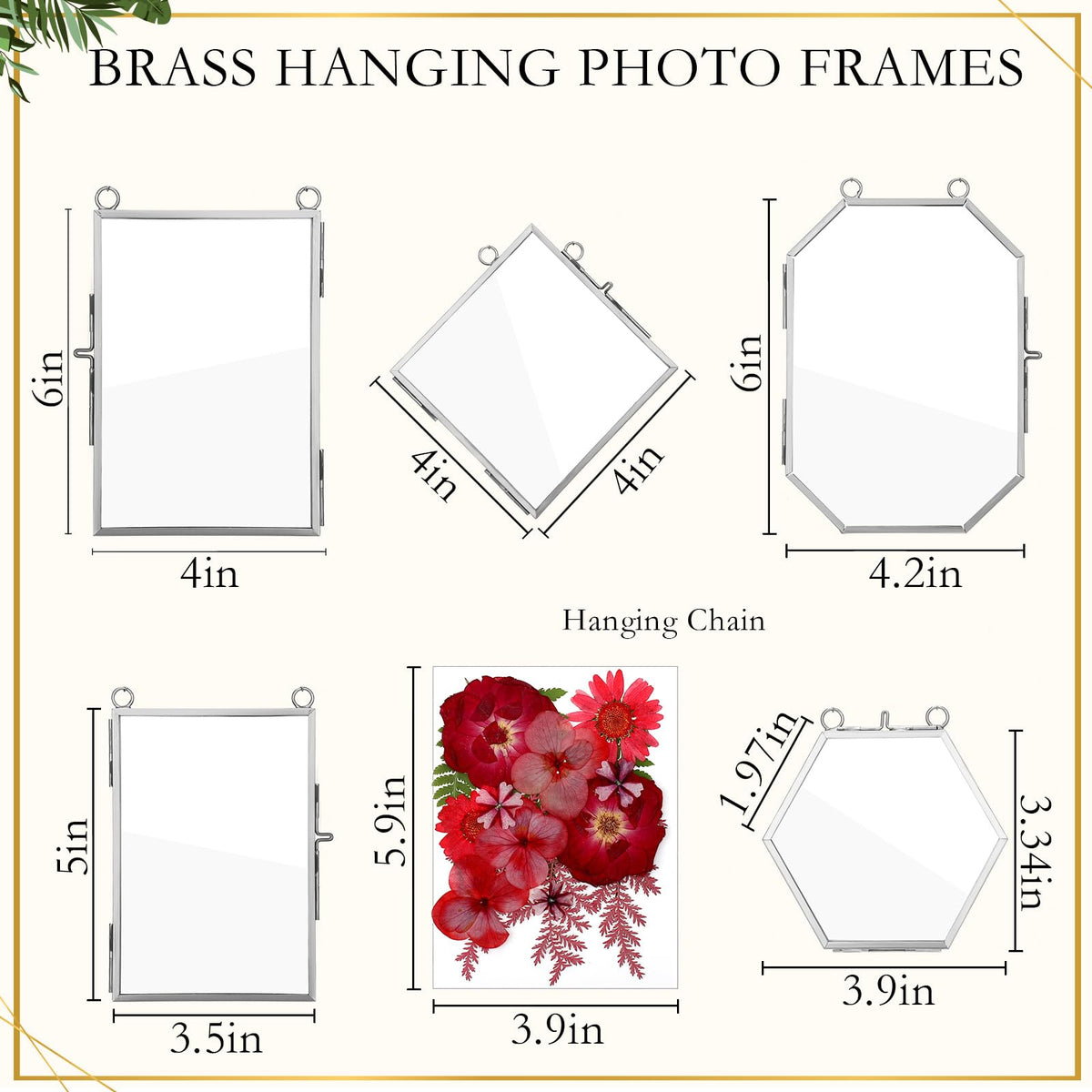 Bucherry 5 Pcs Glass Frame for DIY Pressed Flowers Art Hanging Photo Picture Frame with Chain and 6 Styles Pressed Flowers Collage Glass Craft Frames for Wall Decor Display Gallery (Silver)