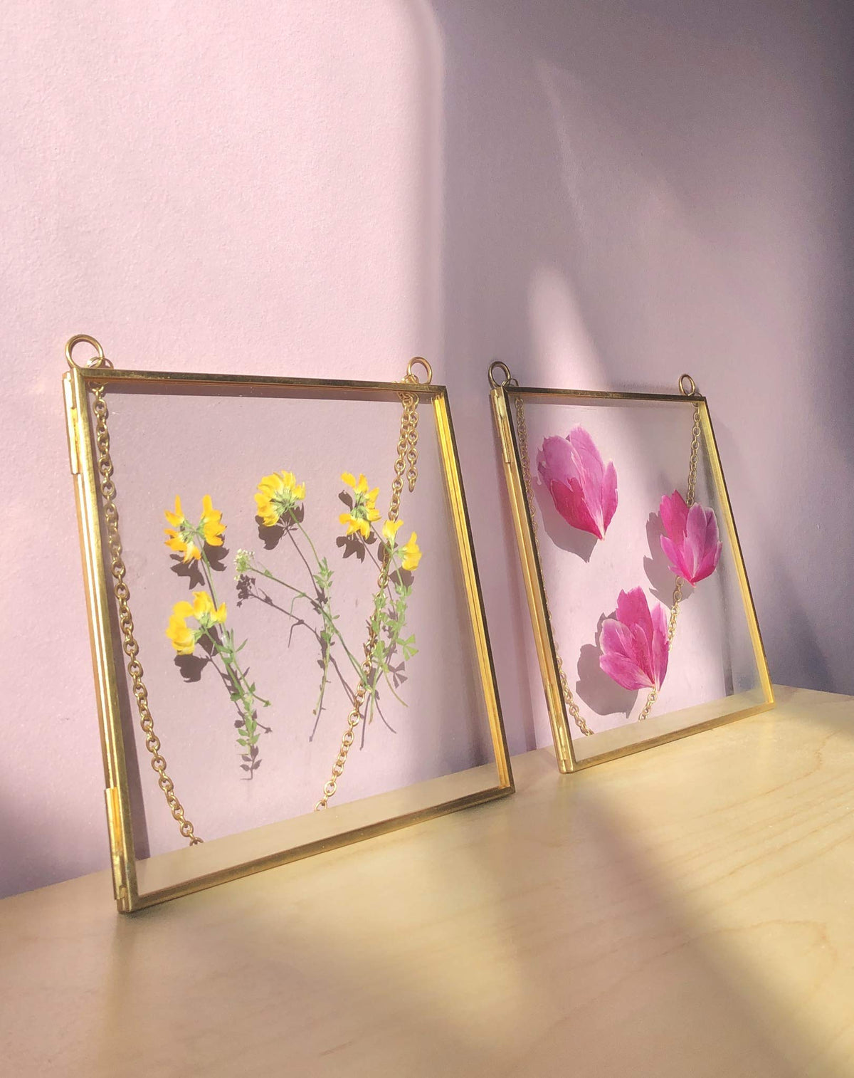 Glass Frame for Pressed Flowers, Leaf and Artwork - Hanging Gold 6x6 Square Metal Picture Frames, Clear Double Glass Floating Frame, Wall Decor Photo Display, Set of 2 Flower Press Frames with Chain