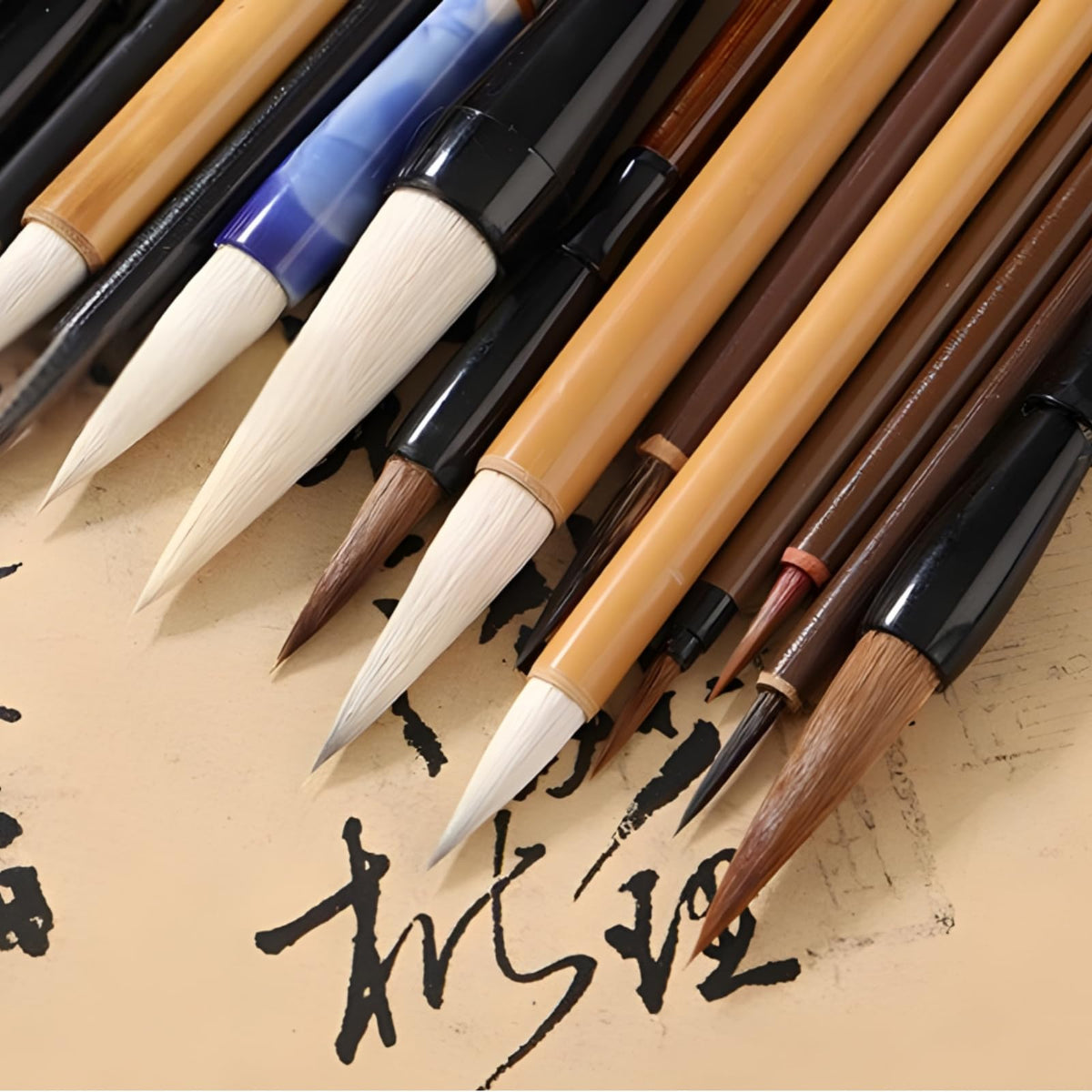 Eorbow 16 Pieces Chinese Calligraphy Brush Set, Sumi Brushes with Roll-up Bamboo Holder, Sturdy Japanese Watercolor Painting Writing Brushes, Kanji Art Drawing Brushes for Beginners