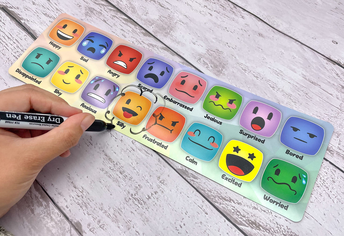 Teacher Created Resources Social-Emotional Mood Meters (TCR6052)